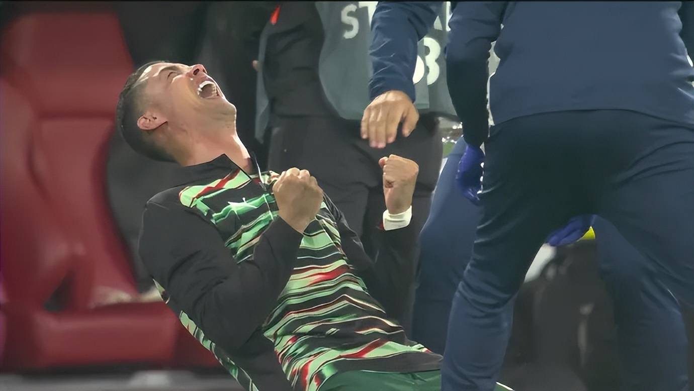 西班牙队击败葡萄牙,将晋级欧洲国家杯半决赛 西班牙队击败葡萄牙,将晋级欧洲国家杯半决赛